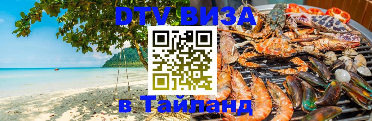 Оформление DTV визы под ключ: стоимость и тарифы, только загранпаспорт - Вадуц  18.11.2025 